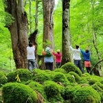 宍粟の魅力を探し、豊かな自然の中で森林浴を楽しむメンバーたち＝宍粟市波賀町（しそくら提供）