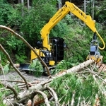 価格上昇を受け、活発化する木材の切り出し＝兵庫県多可町加美区丹治