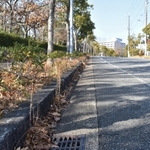殺害現場となった思い出の公園近くの市道＝神戸市西区糀台２