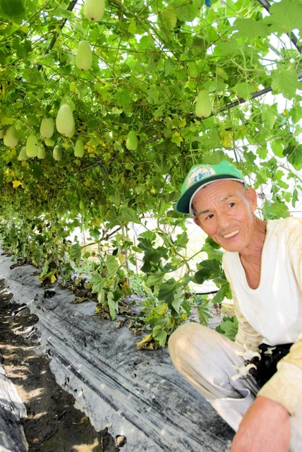 網干メロンのハウス栽培を定着させた開發明弘さん＝姫路市網干区津市場