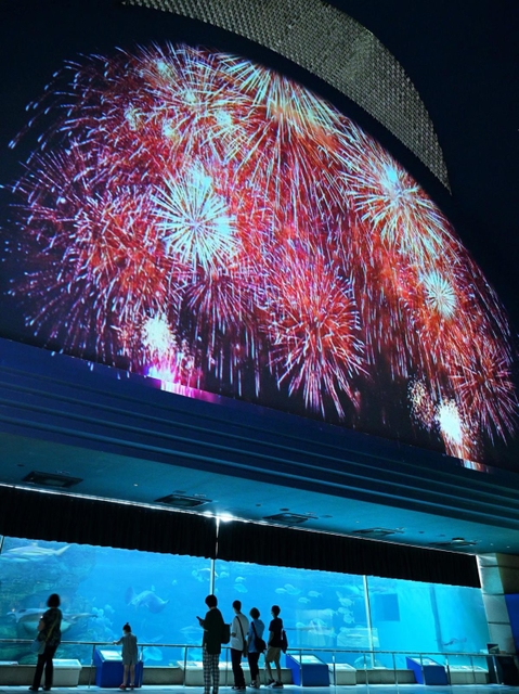 大水槽前の高い壁面に投影された花火の映像。足元では魚たちが優雅に泳ぐ＝神戸市須磨区若宮町１、神戸市立須磨海浜水族園