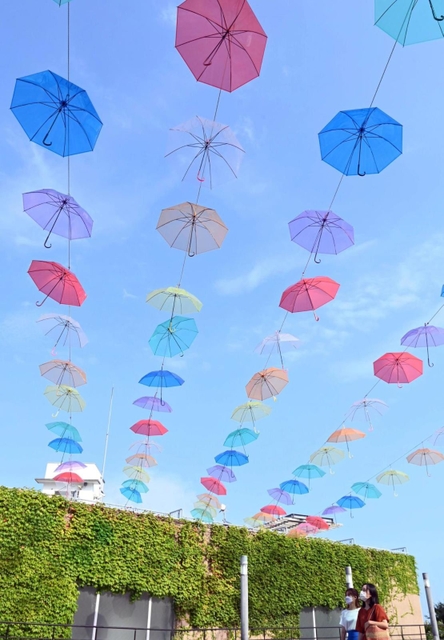 太陽の光を受け、夏空に映える色とりどりの傘＝淡路市夢舞台、明石海峡公園（撮影・坂井萌香）