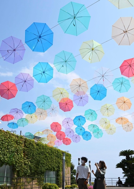 太陽の光を受け色とりどりの傘が輝いた＝淡路市夢舞台、明石海峡公園（撮影・坂井萌香）