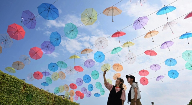 夏の日差しを受けて色鮮やかに輝く傘＝１５日午後、淡路市夢舞台、国営明石海峡公園