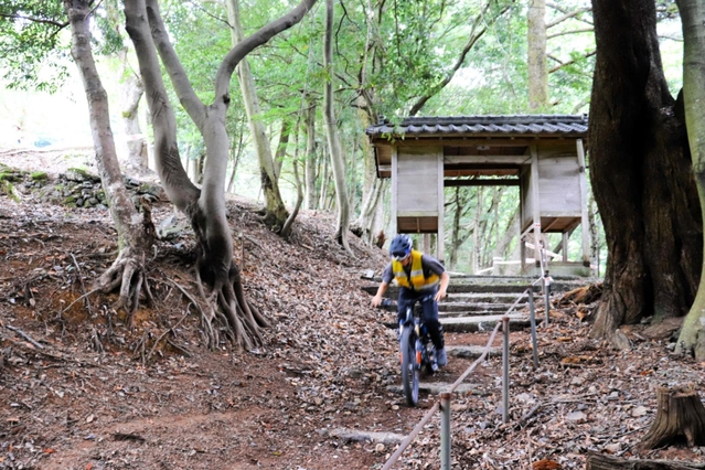 和田神社から集落に続く参道。約４３０メートルのコースは、高低差が約９０メートルある＝養父市大屋町明延