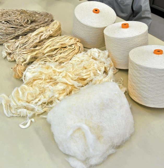 処理過程が違う４種類のパイナップル繊維。硬く太い繊維を薬品で柔らかくしていく＝西脇市野村町