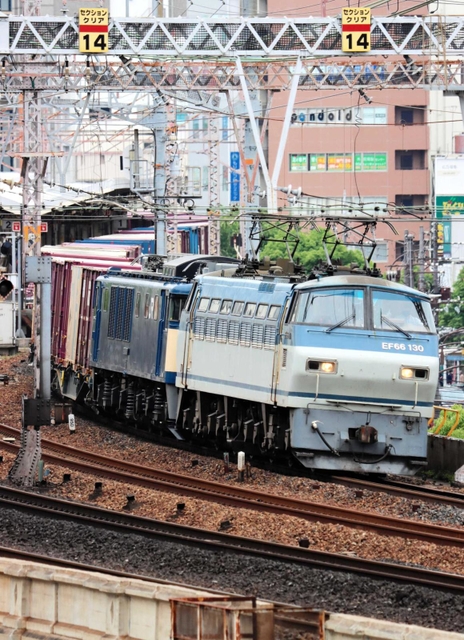 最近では珍しくなったＥＦ６６型電気機関車。前面に書かれた１３０は車両番号で、１９９１年に川崎重工業が製造した。写真の２両目は回送中で、機関車が２両並ぶのも珍しい構図という。なお７３年に製造されたＥＦ６６型の２７号機は０番台（２桁）の車両として唯一、今春まで現役で走り、撮り鉄の間では「ニーナ」の愛称で国宝級と絶賛された＝花隈公園から撮影（提供写真）