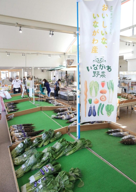 地元産の野菜などを販売している＝猪名川町万善