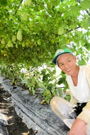 網干メロンのハウス栽培を定着させた開發明弘さん＝姫路市網干区津市場