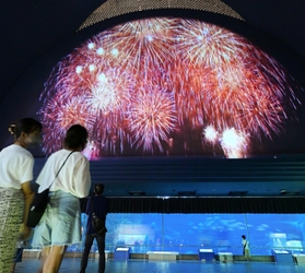大水槽前の高い壁面に投影された花火の映像。足元では魚たちが優雅に泳ぐ＝神戸市須磨区若宮町１、神戸市立須磨海浜水族園
