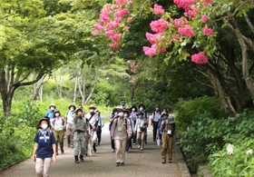 森林の中で涼を満喫する自然観察講座の参加者＝１３日午前、神戸市北区山田町、市立森林植物園