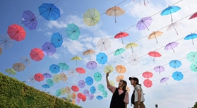 夏の日差しを受けて色鮮やかに輝く傘＝１５日午後、淡路市夢舞台、国営明石海峡公園