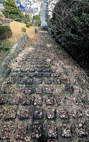 神戸連続児童殺傷事件の現場の一つ、通称タンク山にある「チョコレート階段」＝神戸市須磨区（撮影・吉田敦史）