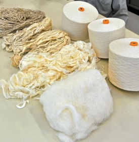 処理過程が違う４種類のパイナップル繊維。硬く太い繊維を薬品で柔らかくしていく＝西脇市野村町