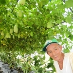 網干メロンのハウス栽培を定着させた開發明弘さん＝姫路市網干区津市場