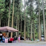 杉木立に囲まれたキャンプ場＝姫路市夢前町山之内佐中