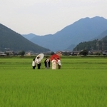 田園の真ん中で写真撮影の準備をする吉川さん夫妻とスタッフ＝神河町中村