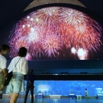 大水槽前の高い壁面に投影された花火の映像。足元では魚たちが優雅に泳ぐ＝神戸市須磨区若宮町１、神戸市立須磨海浜水族園