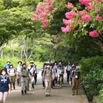 森林の中で涼を満喫する自然観察講座の参加者＝１３日午前、神戸市北区山田町、市立森林植物園