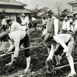 戦時中の食糧増産でサツマ芋の栽培に励む柏原中学（現柏原高校）の生徒