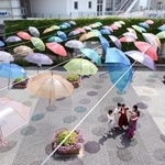 太陽の光を受け色とりどりの傘の色が地面に。記念撮影をする人でにぎわった＝淡路市夢舞台、明石海峡公園（撮影・坂井萌香）