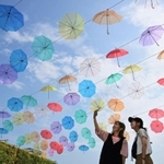 夏の日差しを受けて色鮮やかに輝く傘＝１５日午後、淡路市夢舞台、国営明石海峡公園