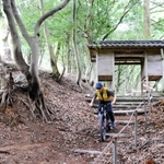 和田神社から集落に続く参道。約４３０メートルのコースは、高低差が約９０メートルある＝養父市大屋町明延