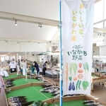 地元産の野菜などを販売している＝猪名川町万善