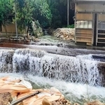 大雨で水があふれる現場＝８月２１日、石川県小松市（被災地ＮＧＯ恊働センター提供）