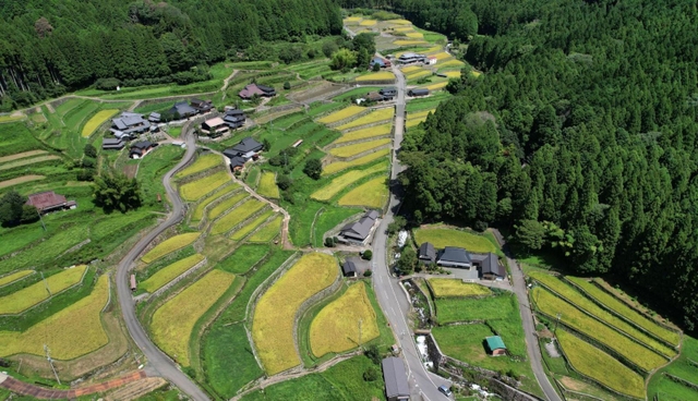 色づく棚田＝多可町加美区岩座神