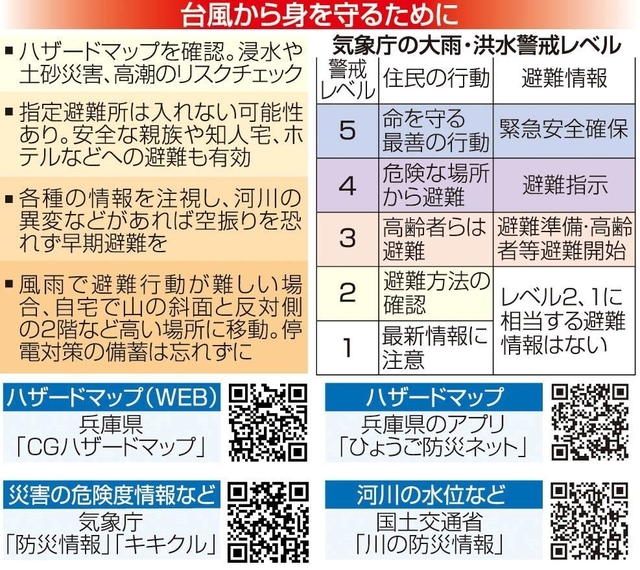 神戸新聞ＮＥＸＴ