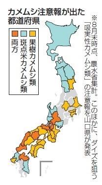 神戸新聞ＮＥＸＴ