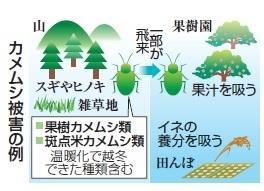 神戸新聞ＮＥＸＴ