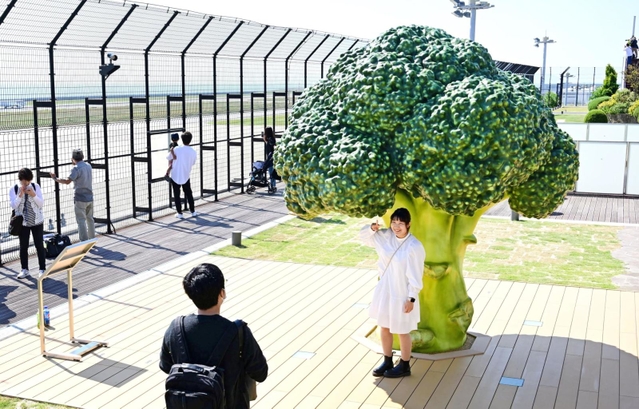 ブロッコリーのオブジェと一緒に写真を撮る人たち。まるでミニチュア人形のよう？＝３０日午後、神戸市中央区、神戸空港（撮影・坂井萌香）