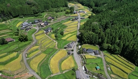 色づく棚田＝多可町加美区岩座神
