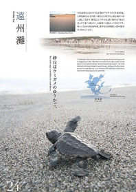 広大な砂浜を有する遠州灘はウミガメの産卵地にもなっている（浜松市市勢要覧２０１５より）