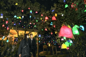 夜の空間に浮かび上がる作品「ひかりの実」＝２４日夜、神戸市灘区六甲山町、ＲＯＫＫＯ森の音ミュージアム（撮影・長嶺麻子）