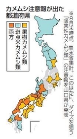 神戸新聞ＮＥＸＴ