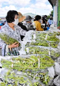 昨年の販売解禁日。黒枝豆を買い求める人々＝２０２１年１０月５日午前、丹波篠山市東吹