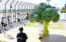 ブロッコリーのオブジェと一緒に写真を撮る人たち。まるでミニチュア人形のよう？＝３０日午後、神戸市中央区、神戸空港（撮影・坂井萌香）