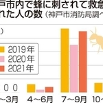 神戸新聞ＮＥＸＴ