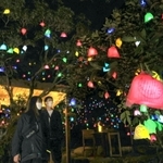 夜の空間に浮かび上がる作品「ひかりの実」＝２４日夜、神戸市灘区六甲山町、ＲＯＫＫＯ森の音ミュージアム（撮影・長嶺麻子）