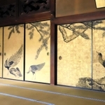 円山応挙が没する３カ月前に完成させた金地に墨画の「松に孔雀図」＝大乗寺（撮影・岡本好太郎）