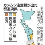 神戸新聞ＮＥＸＴ