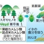 神戸新聞ＮＥＸＴ