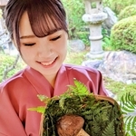 初競りで９５万円で落札され丹波篠山産マツタケ＝２７日午前、丹波篠山市二階町、料理旅館「近又」