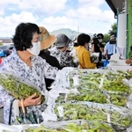 昨年の販売解禁日。黒枝豆を買い求める人々＝２０２１年１０月５日午前、丹波篠山市東吹