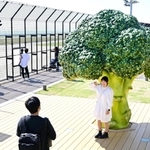 ブロッコリーのオブジェと一緒に写真を撮る人たち。まるでミニチュア人形のよう？＝３０日午後、神戸市中央区、神戸空港（撮影・坂井萌香）