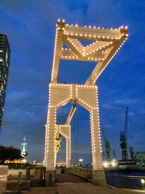 ライトアップされ、美しく光る夜のはねっこ＝神戸市中央区東川崎町１