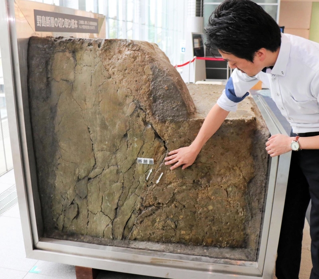 淡路市の野島断層保存館から取り寄せた断層の切り取り標本＝神戸市中央区脇浜海岸通１、人と防災未来センター